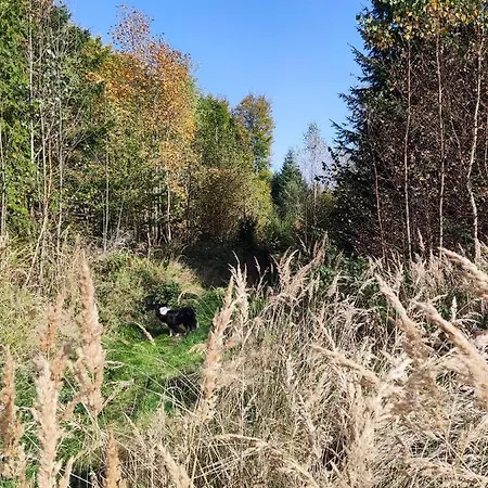 Matejovec 109 & Na Statku Český Rudolec